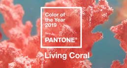 Color Of Year 2019